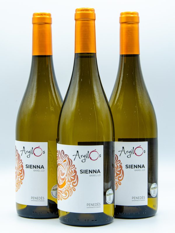 SIENNA - Imatge 2